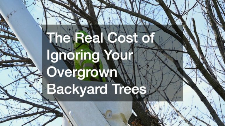 The Real Cost of Ignoring Your Overgrown Backyard Trees